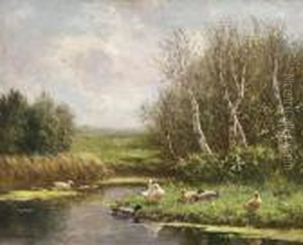 Ducks On A Riverbank - view 1