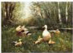 Ducks by David Adolf Constant Artz