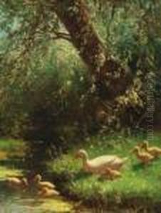 Duck And Ducklings On A Riverbank