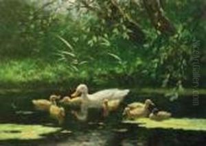 A Duck And Ducklings Going For A Swim