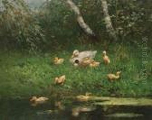 The First Swim - view 1