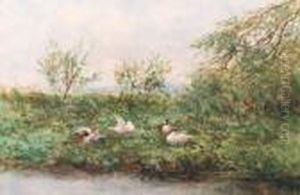 Ducks On A Riverbank
