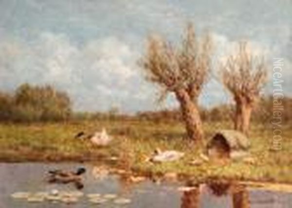 Ducks And Ducklings On A Riverbank In Summer - view 1