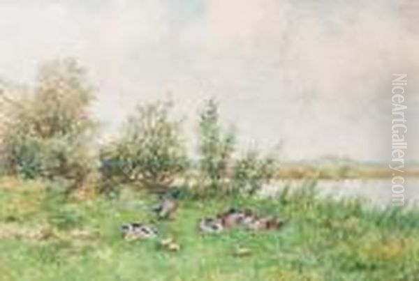 Ducks And Ducklings By The Waterside - view 1