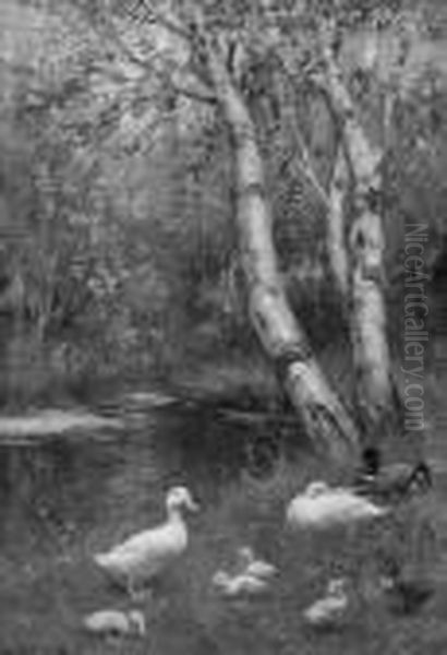 Ducks And Ducklings On A Riverbank - view 1
