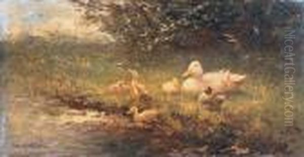 A Duck With Her Ducklings - view 1