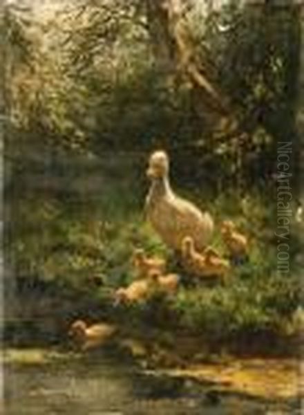 A Duck With Her Duckilings Crossing The Stream - view 1