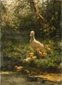 A Duck With Her Duckilings Crossing The Stream