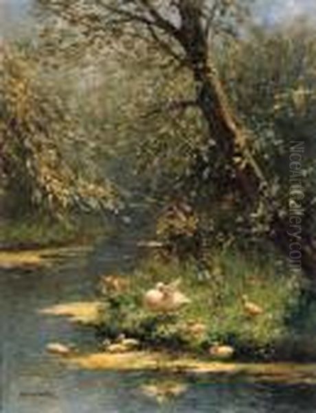 A Duck And Ducklings On A Sunlit Riverbank - view 1