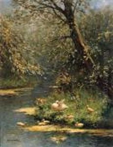 A Duck And Ducklings On A Sunlit Riverbank