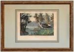 Yellow Shank...view In South Carolina by John James Audubon