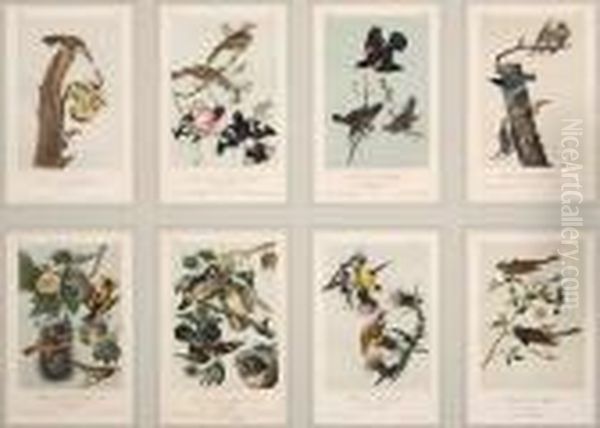Eight Plates - view 1
