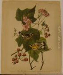 Yellow Warbler by John James Audubon