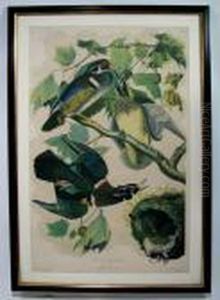Summer Or Wood Duck by John James Audubon