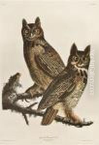 The Birds Ofamerica by John James Audubon
