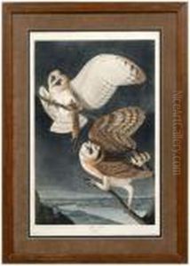 The Birds Of America by John James Audubon