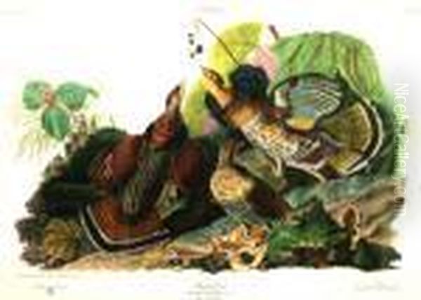 American -- "ruffled Grouse", 
Publ By The American Craft Print Guild, New York; Colour Reproduction 
Print, 34.5x46cm - view 1