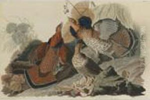 Ruffed Grouse (plate 41) by John James Audubon
