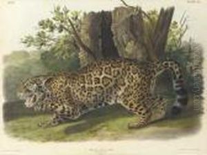 By John T. Bowen