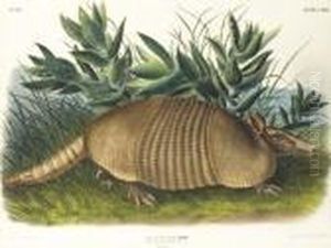 By John T. Bowen by John James Audubon