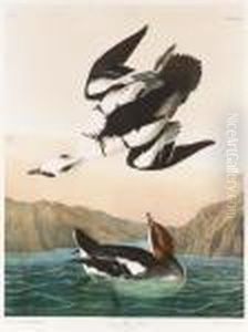 By Julius Bien by John James Audubon