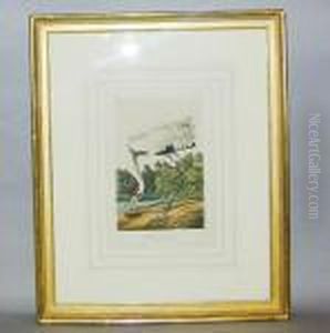 Whooping Crane by John James Audubon