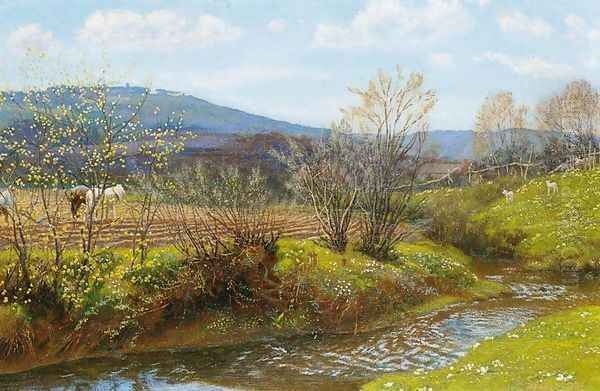 A Spring Afternoon - view 1