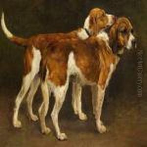 Two Hunting Dogs