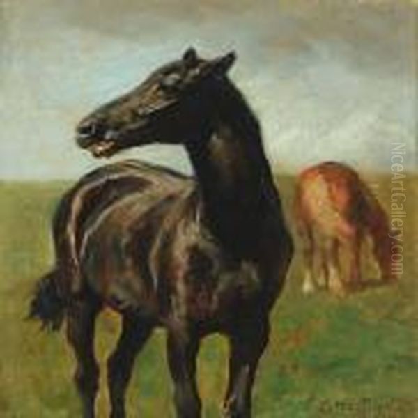 Horses In The Field - view 1