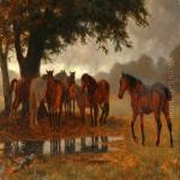 Horses Seek Shelter Under A Tree - view 1