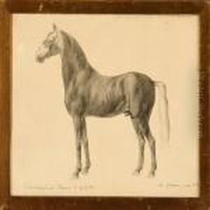 The Frederiksborg Horse by Otto Bache