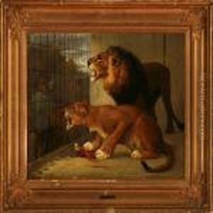 Two Lions In A Cage by Otto Bache