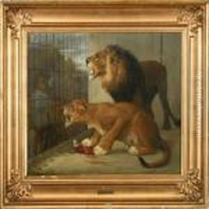 Lions In A Cage by Otto Bache