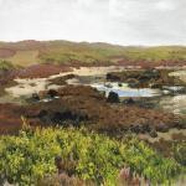Scenery From The Moor - view 1