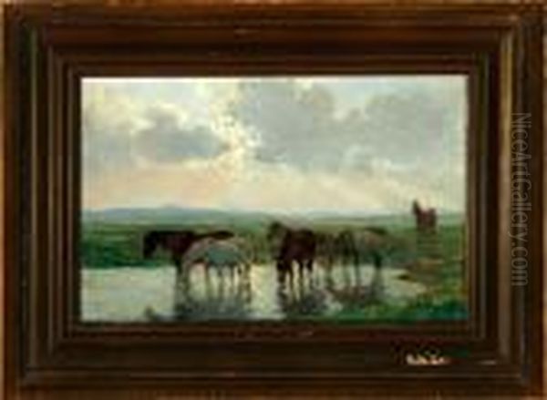 A Herd Of Horses Are Drinking At A Small Pond - view 1