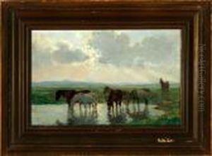 A Herd Of Horses Are Drinking At A Small Pond A Herd Of Horses Are Drinking At A Small Pond