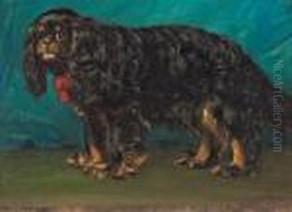 Cavalier King Charles - view 1