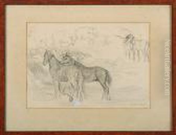 Horses - view 1