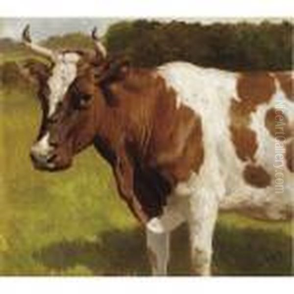 The Cow - view 1