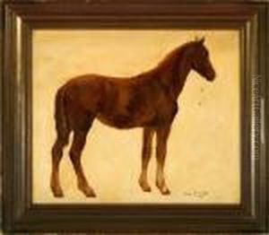 A Study Of A Horse by Otto Bache