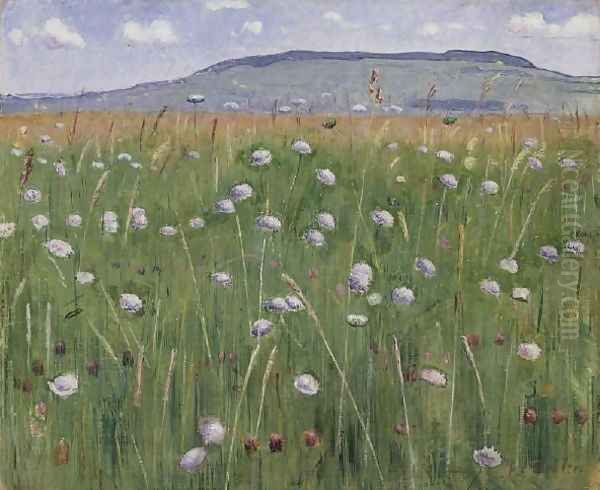 Wiesenstück - view 1