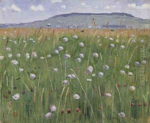 Wiesenstück by Ferdinand Hodler