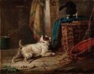 Cane E Gatto