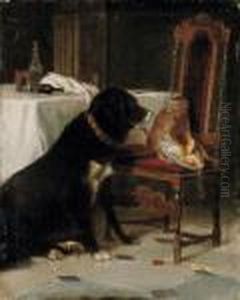 Interno Con Cane