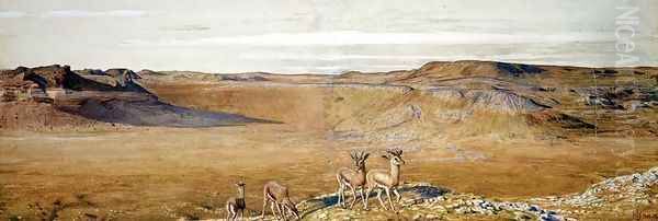 The Wilderness of Gizeh - view 1