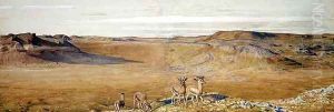 The Wilderness of Gizeh