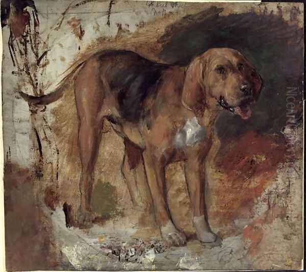 Study of a Bloodhound - view 1