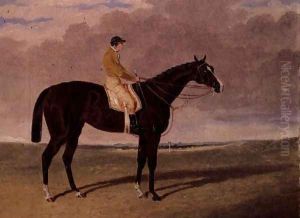 Queen of Trumps, a bay racehorse with jockey