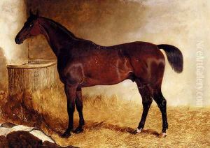 Flexible, A Chestnut Racehorse In A Loose Box
