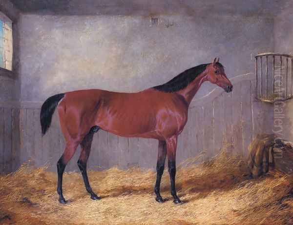 The Duke Of Grafton's Bolivar In A Stable - view 1